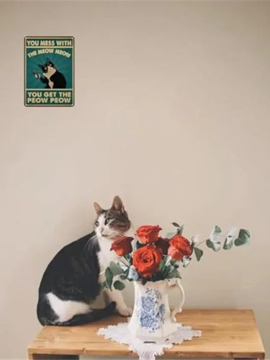 Cat Lovers Gifts You Mess With Meow Mow Cat Tin Sign for Home Man - Picture 2 of 6